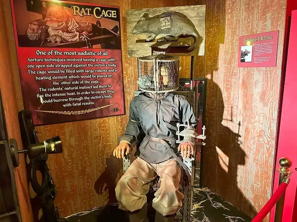 Torture device with rat cage