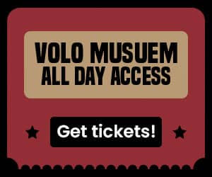 Ticket for Volo Museum access