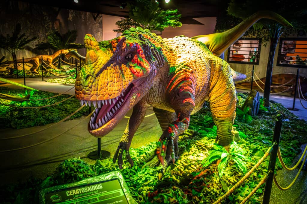 ceratosaurus at jurassic gardens volo il.