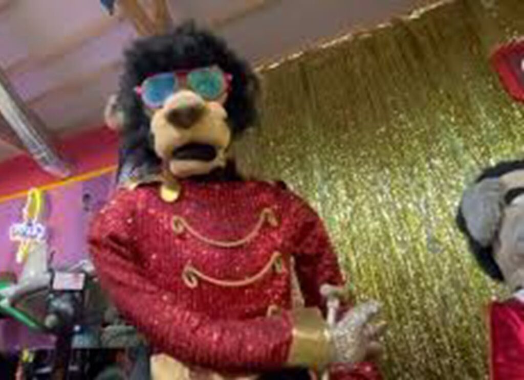 Sparkly lion costume with sunglasses