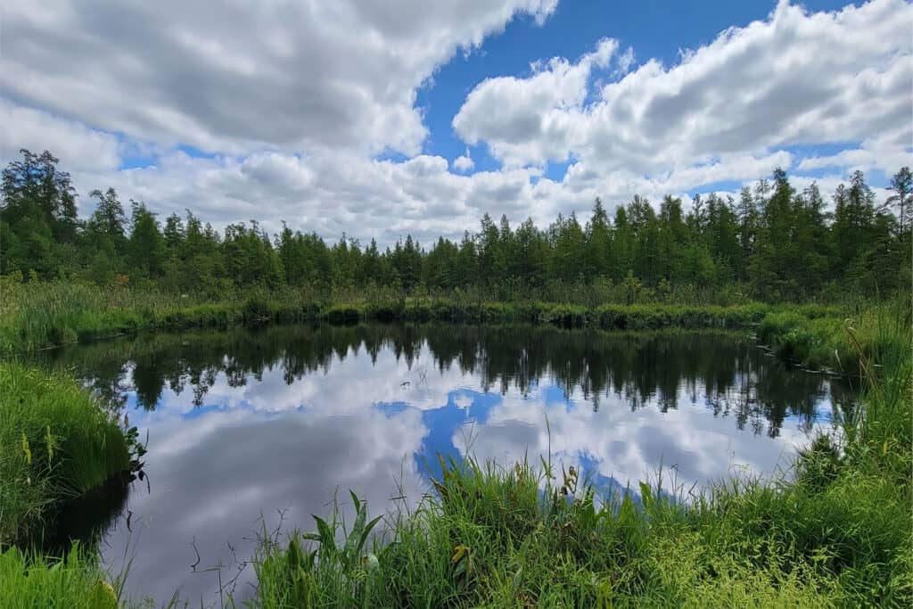 Volo Bog State Natural Area, located 56 miles northwest of Chicago near Ingleside, IL
