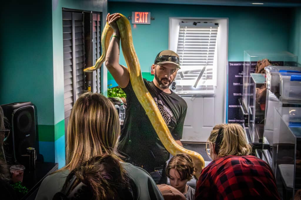 Man holding snake, audience watching closely