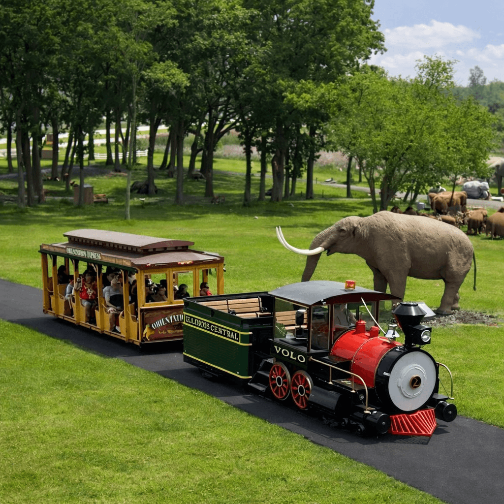 Train ride with elephant / mammoth in background