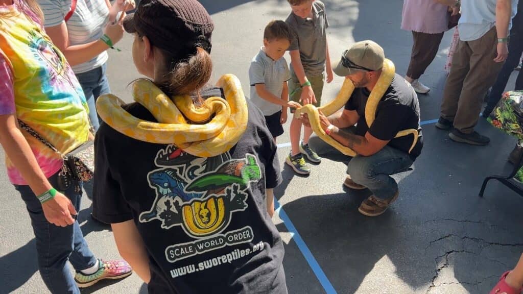 People interacting with a large snake