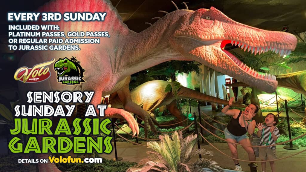 sensory sunday at Jurassic gardens